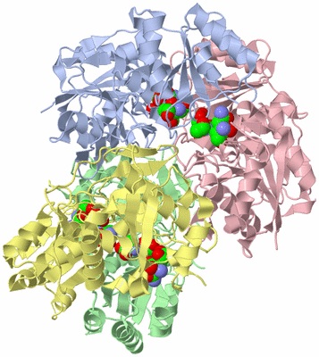 Image Asym./Biol. Unit