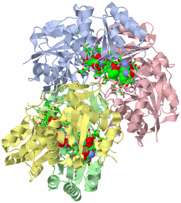 Image Asym./Biol. Unit - sites