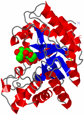 Image Asym./Biol. Unit