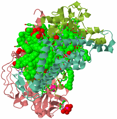 Image Asym./Biol. Unit - sites