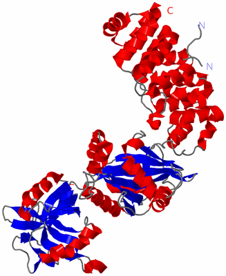 Image Asym./Biol. Unit