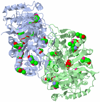 Image Asym./Biol. Unit