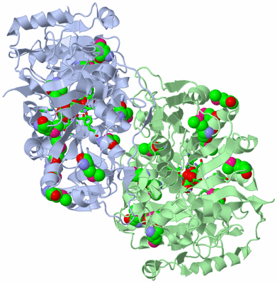 Image Asym./Biol. Unit - sites