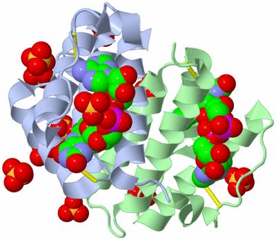 Image Biological Unit 1