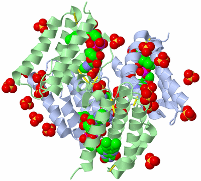 Image Biological Unit 2