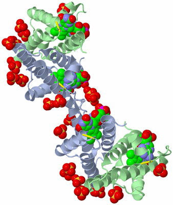 Image Biological Unit 3