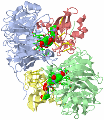 Image Asym./Biol. Unit - sites