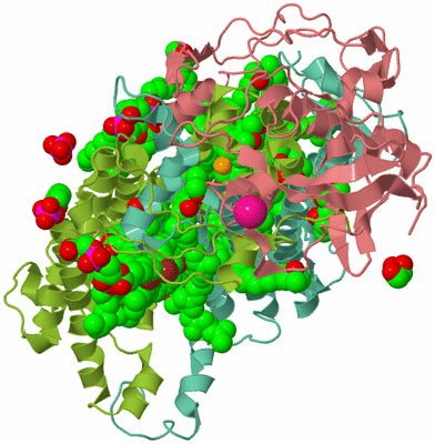 Image Asym./Biol. Unit