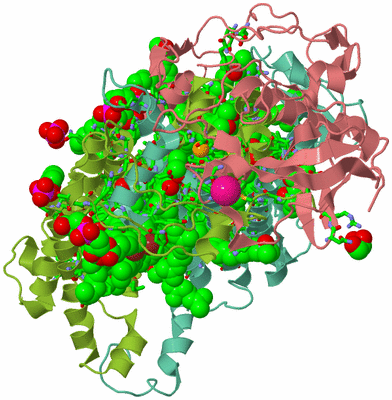 Image Asym./Biol. Unit - sites