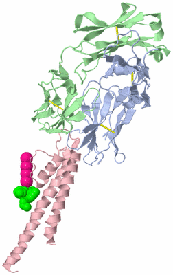 Image Asymmetric Unit
