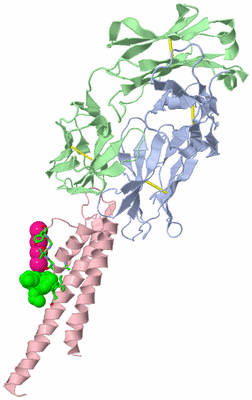 Image Asym. Unit - sites