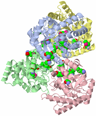 Image Asym./Biol. Unit