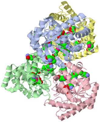 Image Asym./Biol. Unit