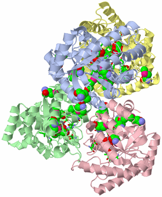 Image Asym./Biol. Unit - sites