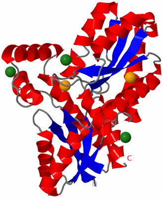 Image Asym./Biol. Unit