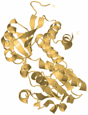 Image Biological Unit 7