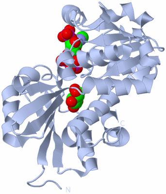 Image Biological Unit 1