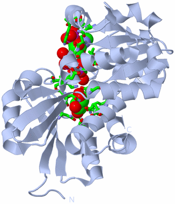 Image Biol. Unit 1 - sites