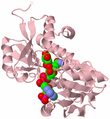 Image Biological Unit 3