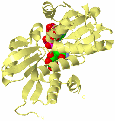 Image Biological Unit 4