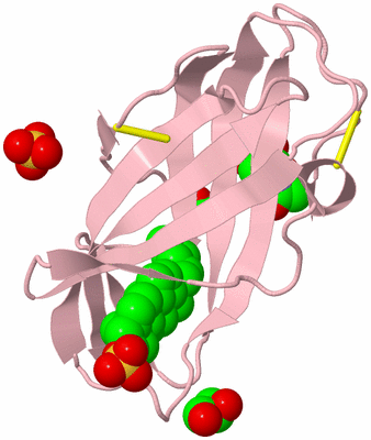 Image Biological Unit 3