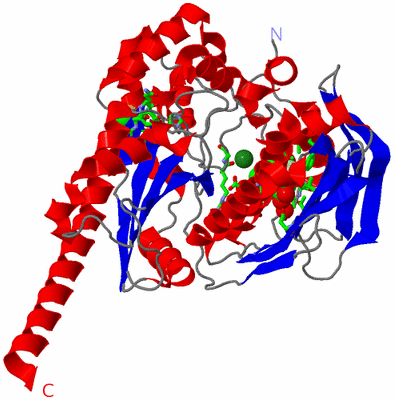 Image Asym./Biol. Unit - sites