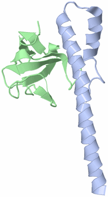 Image Asymmetric Unit