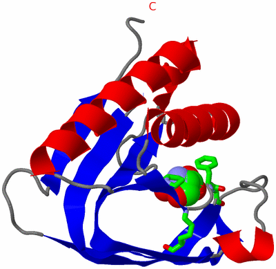 Image Asym. Unit - sites