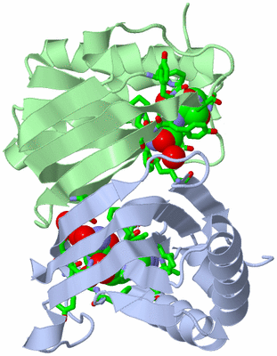 Image Asym./Biol. Unit - sites