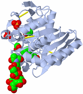 Image Biological Unit 1