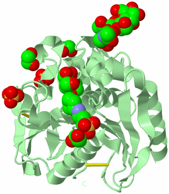 Image Biological Unit 2