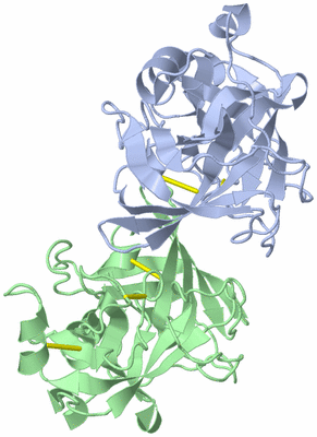 Image Asymmetric Unit