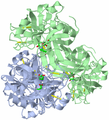 Image Biol. Unit 1 - sites