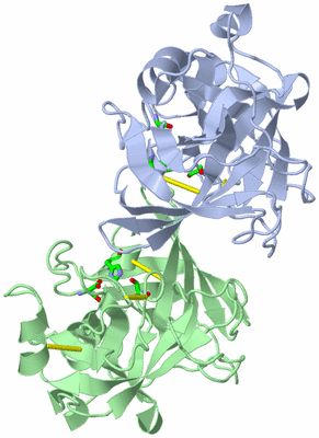 Image Asym. Unit - sites