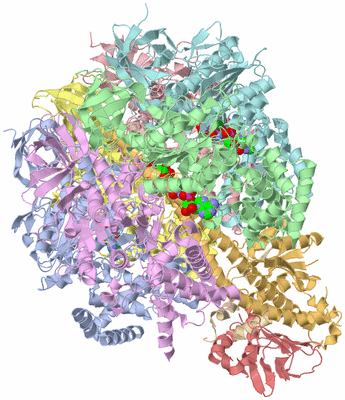 Image Biological Unit 1