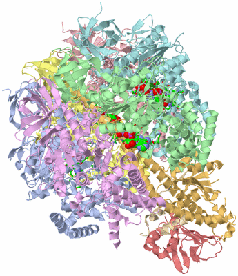 Image Biol. Unit 1 - sites