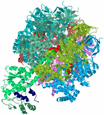 Image Biological Unit 2