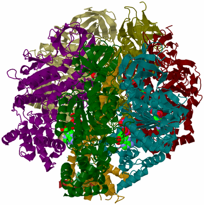 Image Biological Unit 3