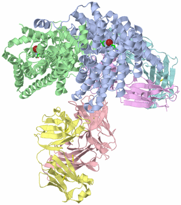 Image Asym./Biol. Unit - sites