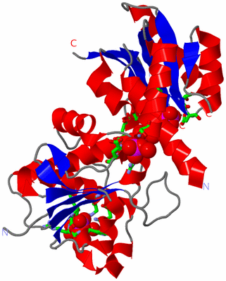 Image Asym./Biol. Unit - sites