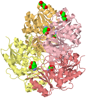 Image Biological Unit 2