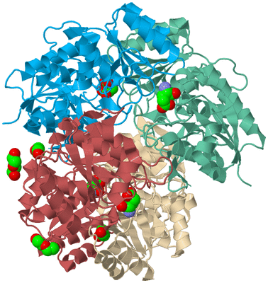 Image Biological Unit 3