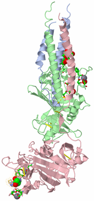 Image Biol. Unit 1 - sites