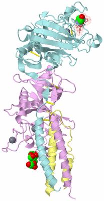 Image Biological Unit 2