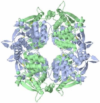 Image Biological Unit 3