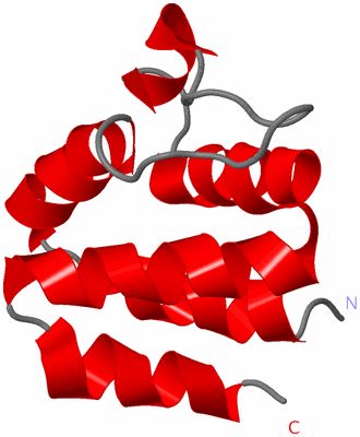 Image NMR Structure - model 1