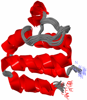 Image NMR Structure - all models