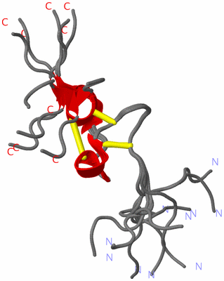 Image NMR Structure - all models