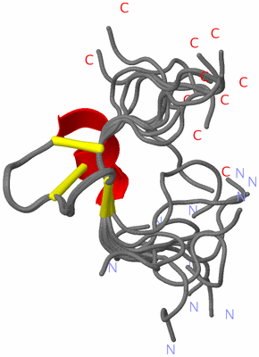 Image NMR Structure - all models