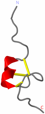 Image NMR Structure - model 1